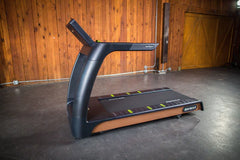 SportsArt Status Eco-Natural Treadmill T676-19